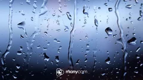 sven online show from December 2, 6:11 pm