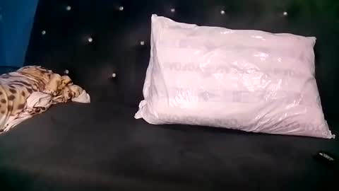 Sunnyblack2 online show from January 15, 11:32 am