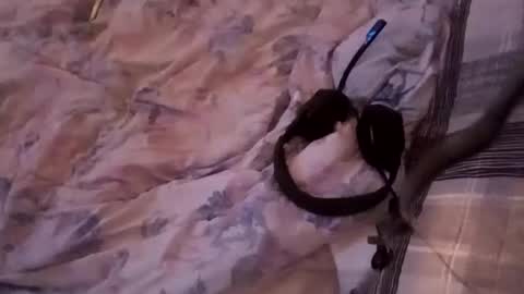 Snapshot of superdavedetailzz2025 chatting on September 19, 12:05 pm superdavedetailzz2025 online show from September 19, 12:05 pm