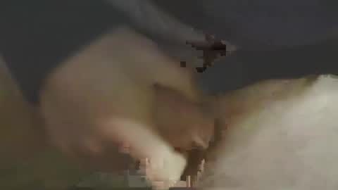 sweny4 online show from February 11, 7:54 am