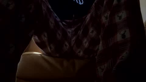 tRex online show from December 14, 12:39 am