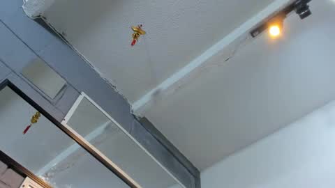 Tafari Zulu online show from February 20, 10:48 pm