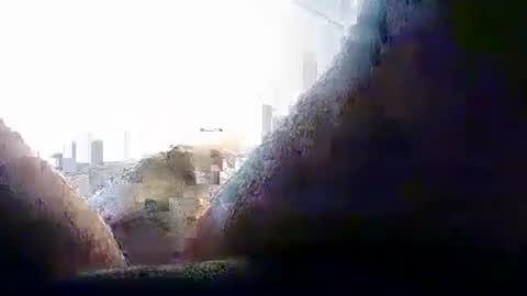 alex tanner online show from June 11, 9:29 am
