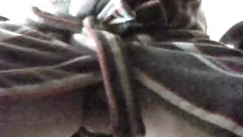 Snapshot of tap_b chatting on February 16, 7:48 am Patrick online show from February 16, 7:48 am