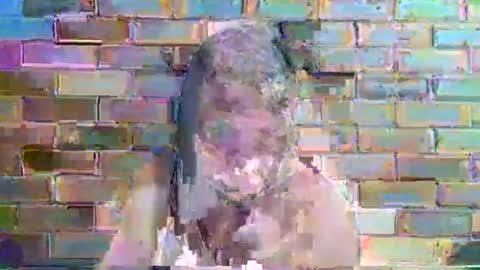 tashnkurt online show from February 15, 12:11 pm