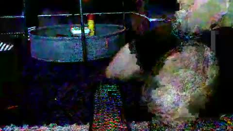 Tennman online show from January 19, 1:22 pm