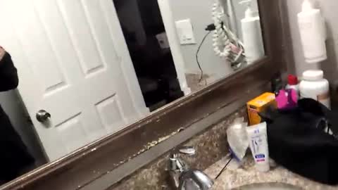 theh4iryfi5h online show from February 24, 4:19 pm