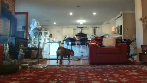 Snapshot of therealkurva4u chatting on February 28, 9:33 pm therealkurva4u online show from February 28, 9:33 pm