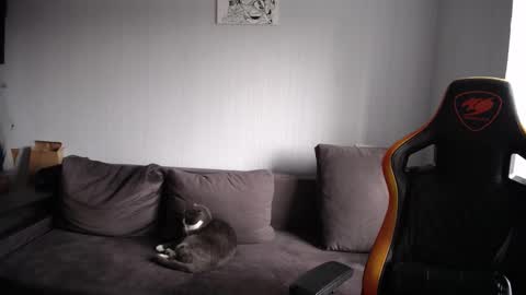 Nick   online show from November 23, 8:47 am