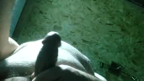 ThiccD online show from November 22, 9:14 pm