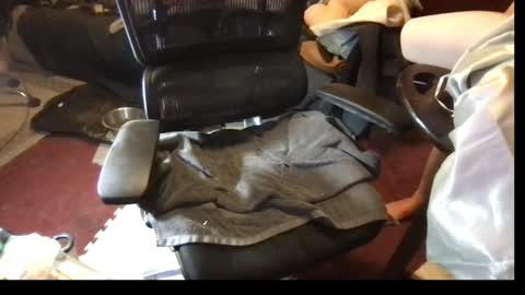 thundersword online show from March 8, 7:07 pm