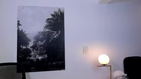 Snapshot of tian_brooks chatting on October 31, 4:25 am Tian Brooks online show from October 31, 4:25 am