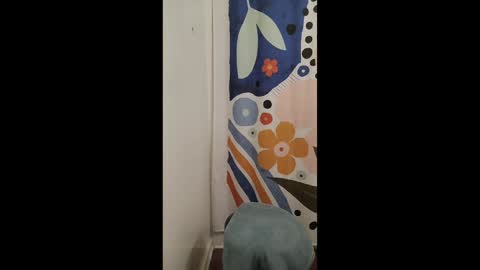 TJ online show from December 12, 10:52 pm