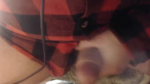 neu bastian - The Neverending Story  Die unendliche Geschichte  Trailer  --ich F   -ich T   bastian  online show from February 1, 1:44 am