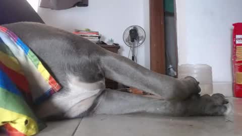   Thomas    online show from February 4, 3:04 pm