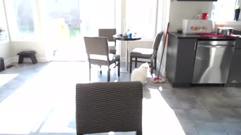 Tommybangzz online show from July 8, 1:04 pm