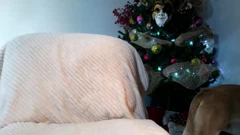 Enzo Moretti online show from November 28, 1:53 am