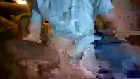 tree33007 online show from November 2, 4:06 am