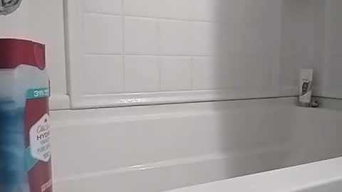 ttimmyt online show from November 16, 5:37 pm