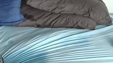 THICK hard online show from November 2, 1:59 pm