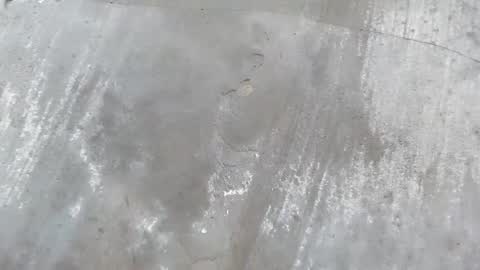 urdreamboy_clarin online show from April 21, 12:44 pm