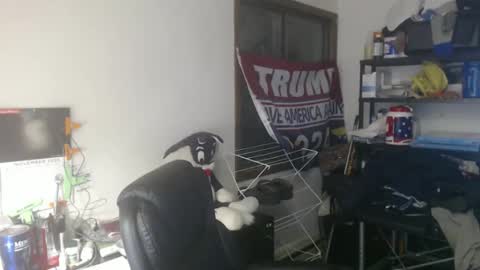 Eric online show from November 1, 12:47 am