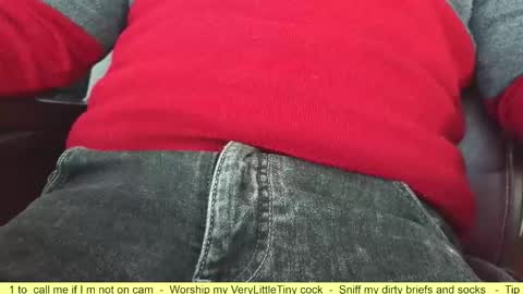 Snapshot of verylittletiny chatting on October 2, 9:02 am Erik online show from October 2, 9:02 am