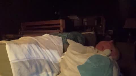 vibrantwhimsy online show from December 1, 8:50 am