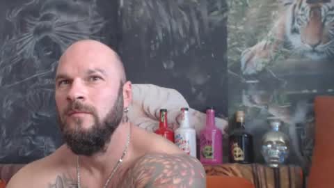 viking online show from October 20, 9:57 am