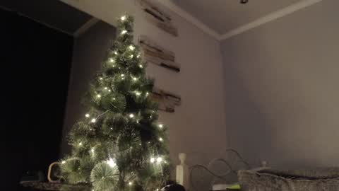 virgil____ online show from December 15, 4:48 pm