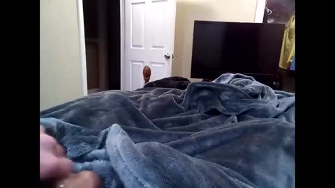 vladedivac1998 online show from March 9, 5:23 am