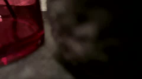 Snapshot of vm93m chatting on January 8, 2:46 pm John online show from January 8, 2:46 pm