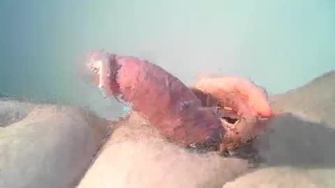 vukavuka99 online show from December 1, 9:07 pm