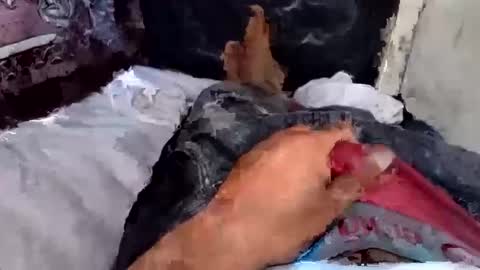 walt3rmex online show from September 10, 10:52 pm