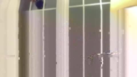 watchmecumforyou___ online show from November 22, 3:06 am