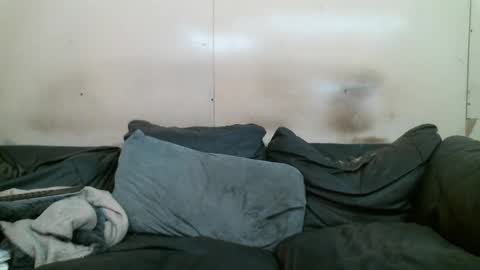 WB Farm online show from January 12, 12:47 am