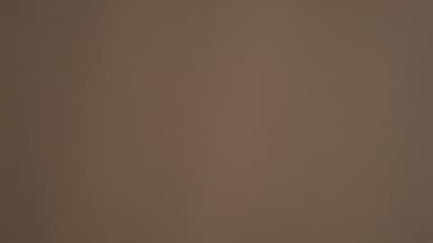 weedwacker43 online show from January 11, 2:10 pm