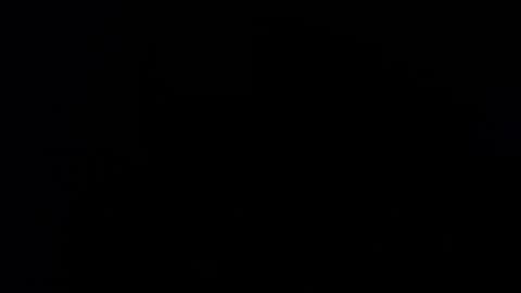 wellingtont online show from October 24, 11:56 am