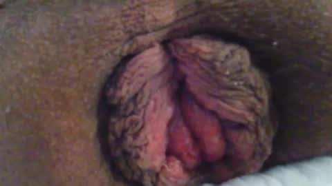 wheelst12 online show from February 27, 10:38 am