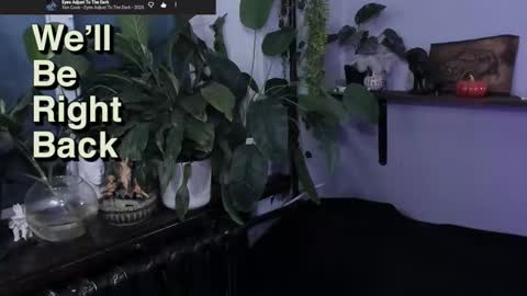 Gus online show from November 12, 9:41 pm