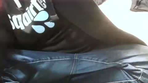 Ryder Harder online show from April 21, 11:49 am