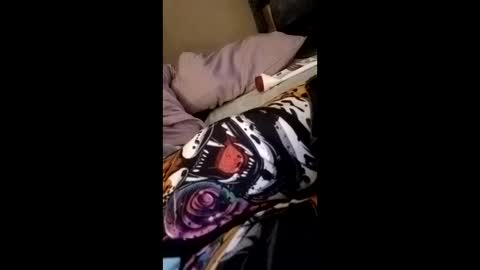 williebrad4 online show from April 4, 6:21 am