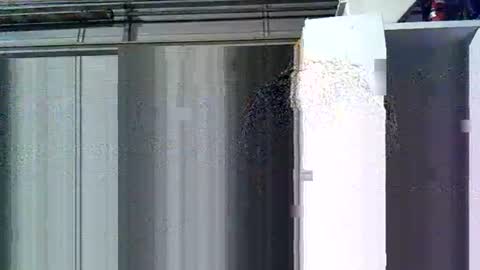 willielowrider online show from March 10, 8:42 am