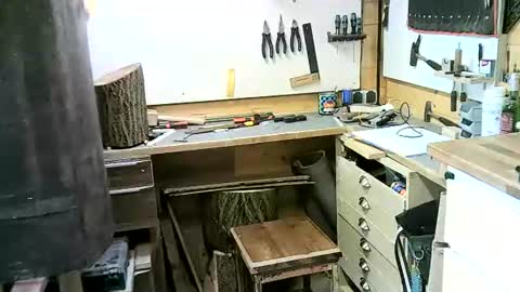 wolf021221 online show from November 2, 2:32 pm