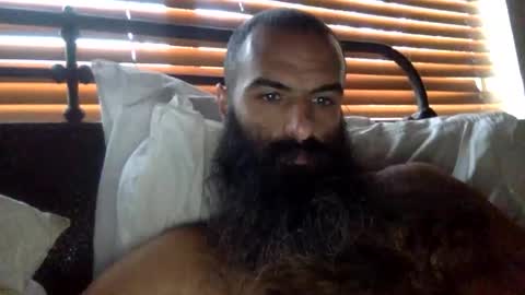 woof_wolf37 online show from February 1, 3:11 pm