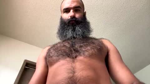 woof_wolf37 online show from November 1, 4:44 pm