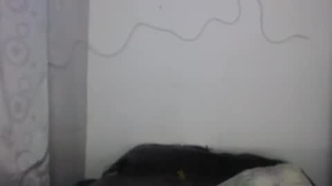 xalejo_max online show from February 16, 7:34 pm