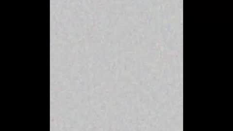 JSSD online show from February 21, 11:00 am