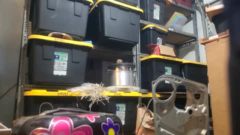 Xploringus online show from October 2, 10:30 am