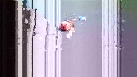 Xtreme online show from February 25, 8:25 am